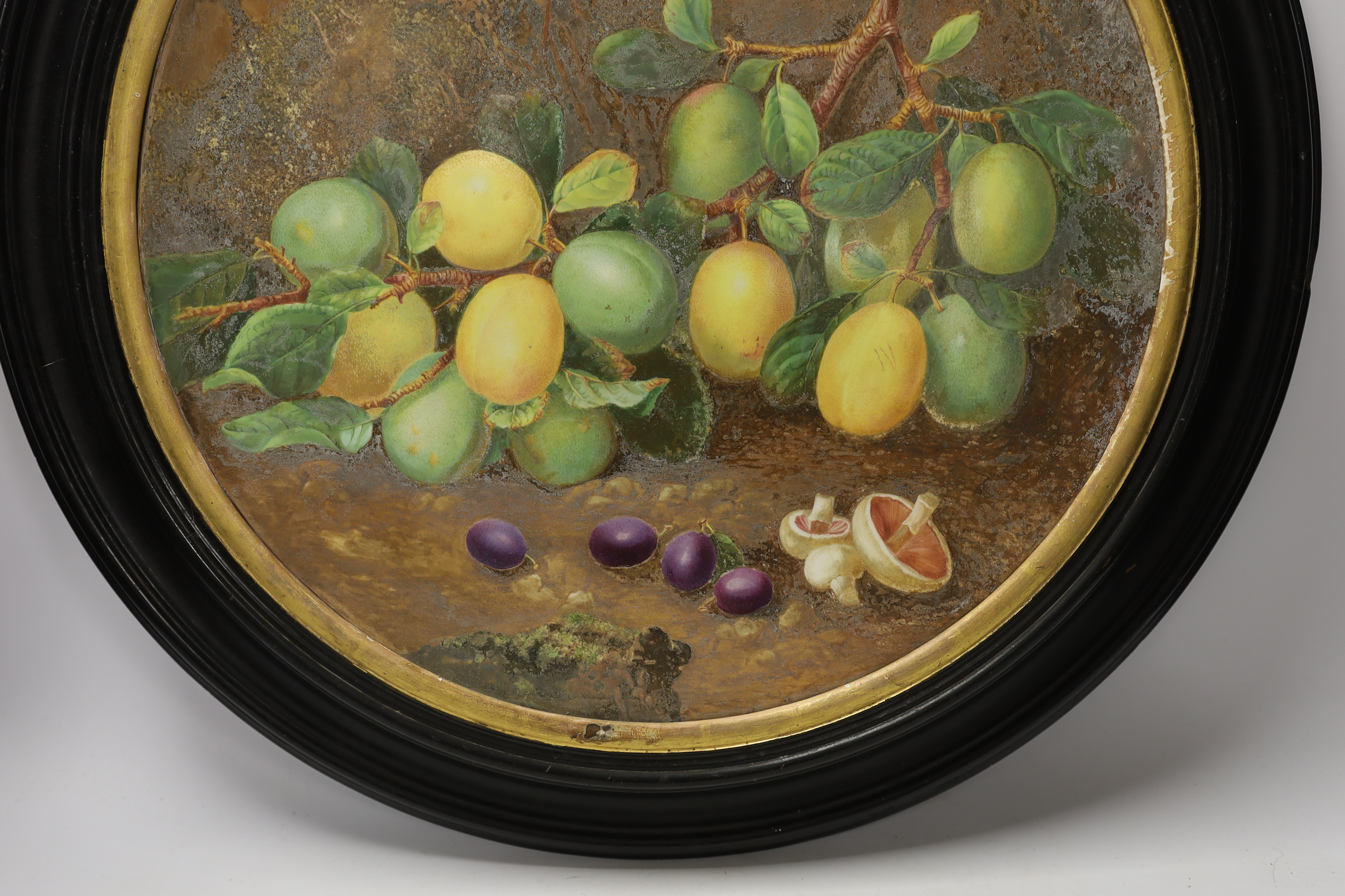 A framed Royal Worcester charger, outside painted by Octar H. Copson, dated 1880, 54cm total diameter